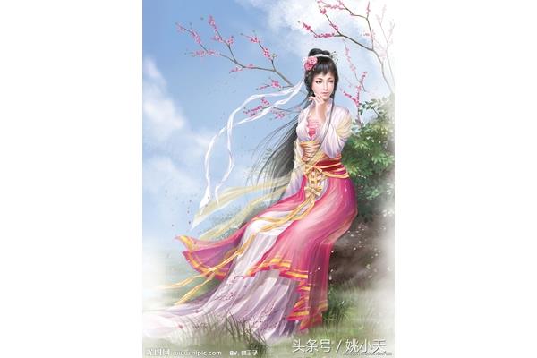 仙女下凡小说