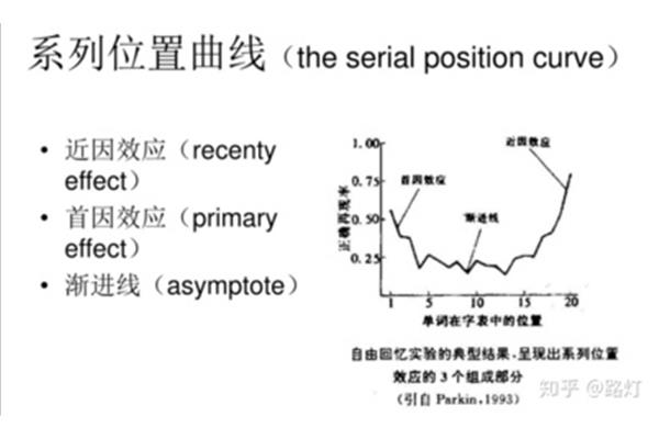 系列位置效应