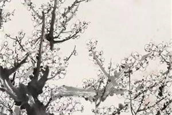 写腊梅的诗句