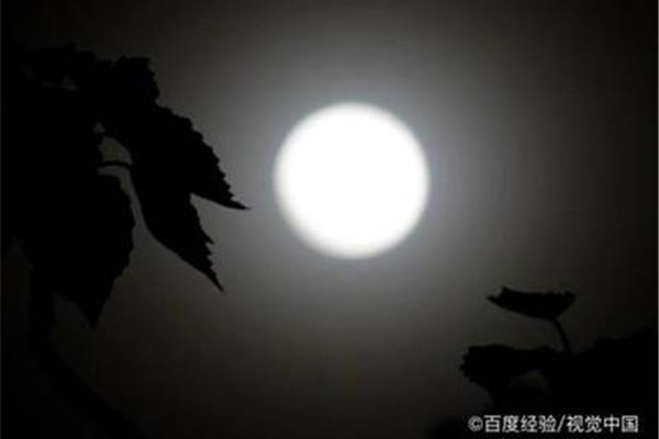 慧怎么组词