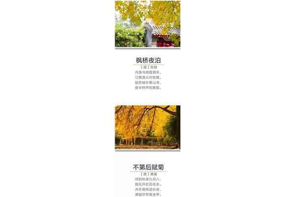 描写秋天的古诗词