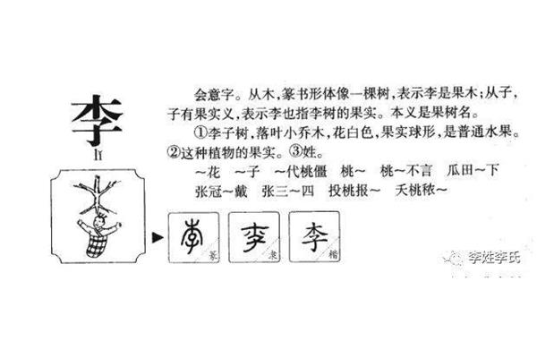 会意的意思