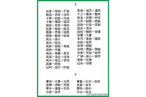 干净的反义词