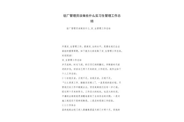 实习生工作总结