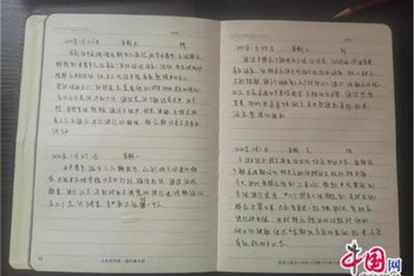 日记10篇
