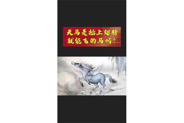 天马行空打一生肖
