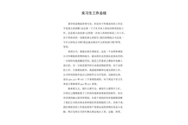 实习生工作总结