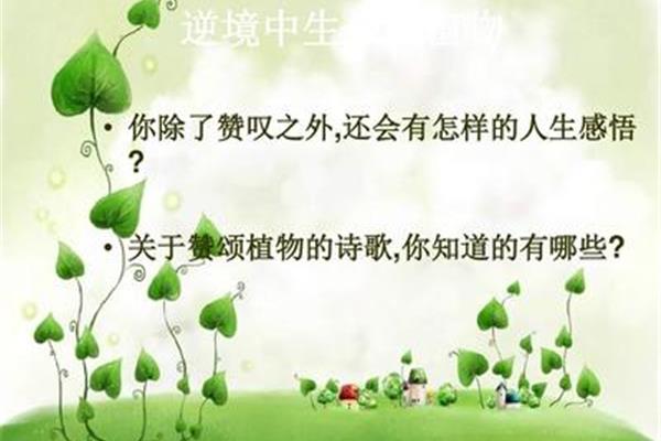 关于生命的诗