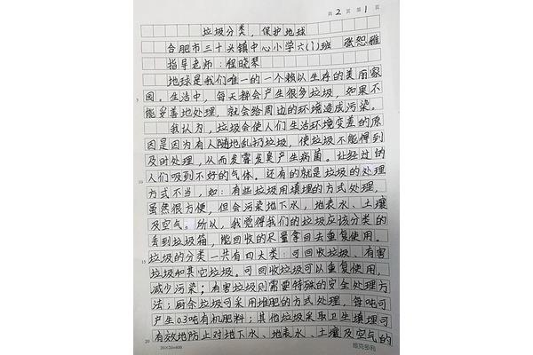 垃圾分类征文