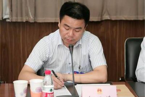 镇人大代表