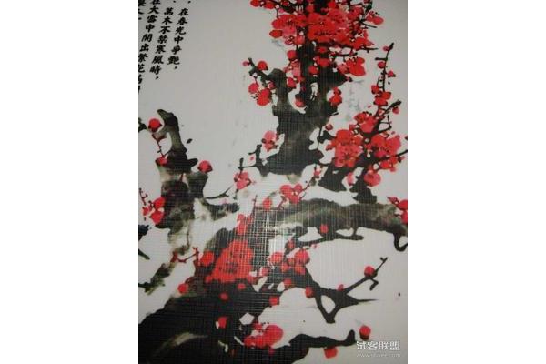 梅花的精神品质