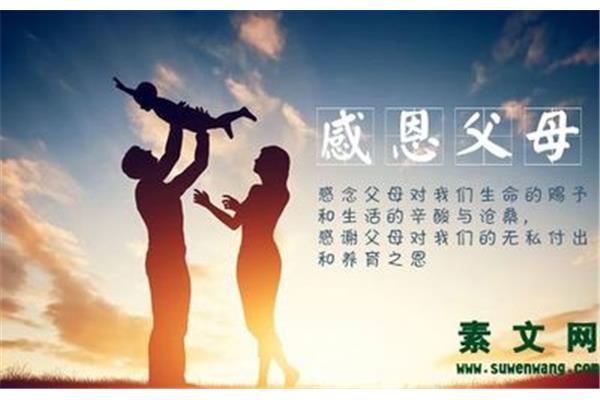 赞美母亲的诗句