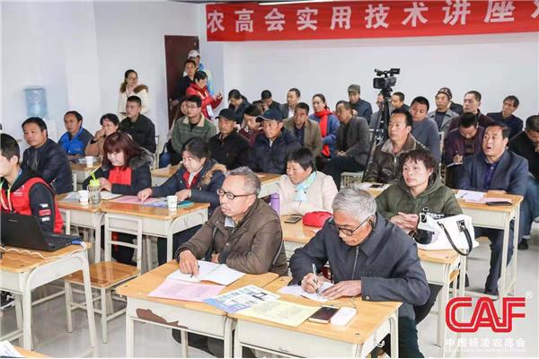中国农资人才网
