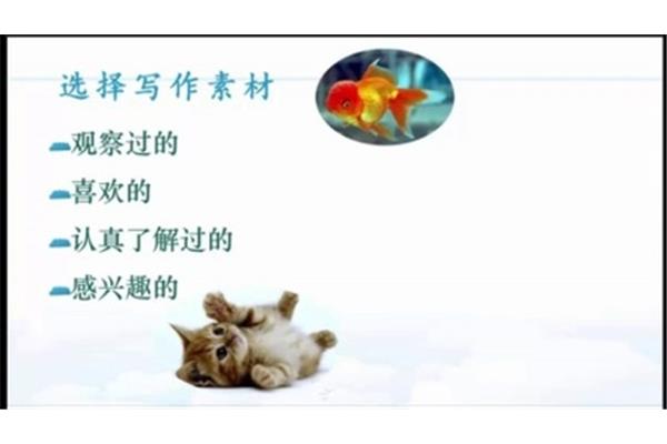 观察一种小动物