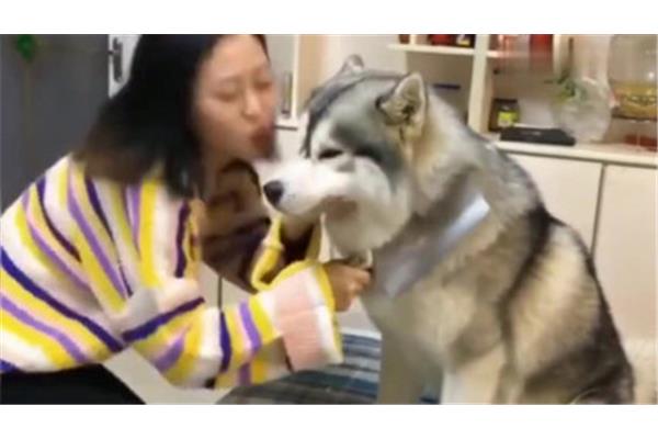 我的身体我的心