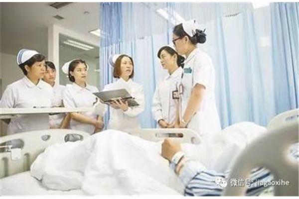 功能制护理