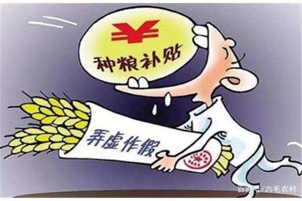 弄虚作假的意思