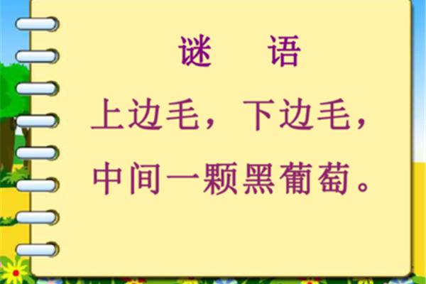 眼睛的谜语