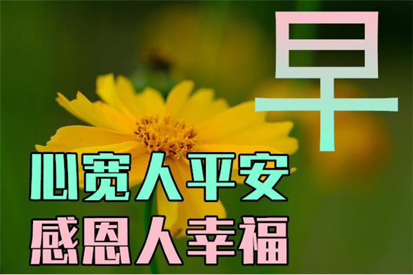 早上好晨语