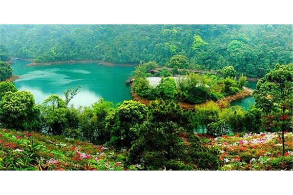 鼎湖山景区
