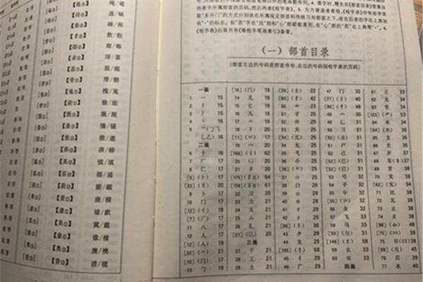 字典部首查字