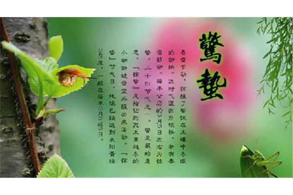 毛毛雨作文