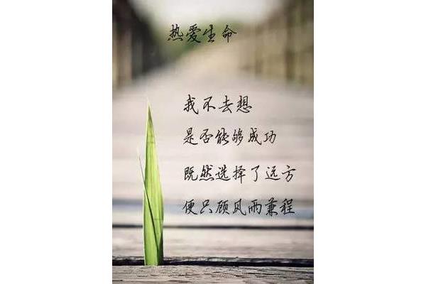 关于生命的诗
