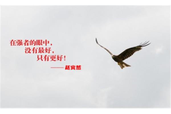 没有最好只有更好