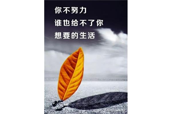 没有最好只有更好