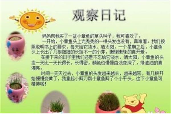观察的意思