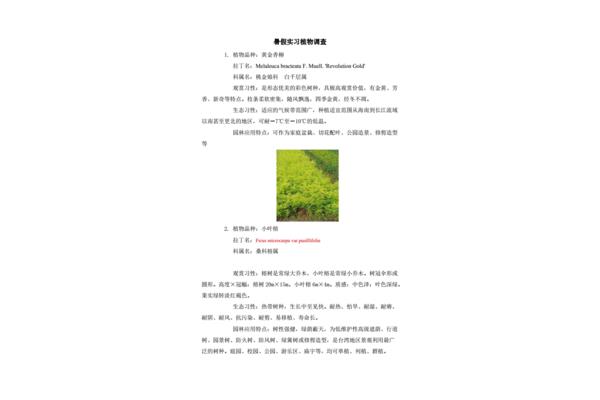 园林专业论文