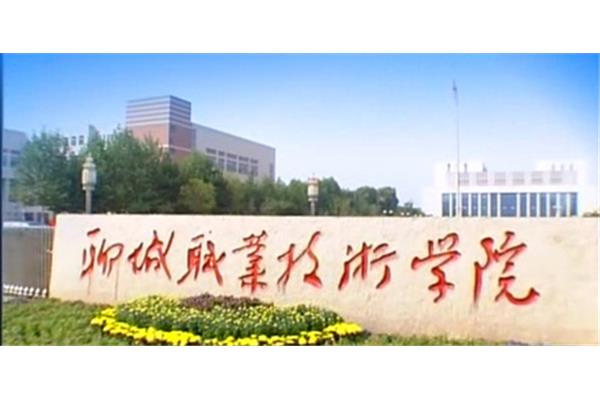 聊城技术学院