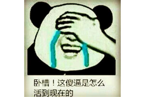 鄙视你是什么意思