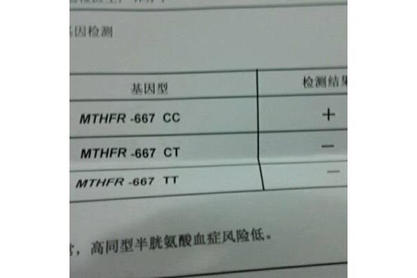 tt什么意思