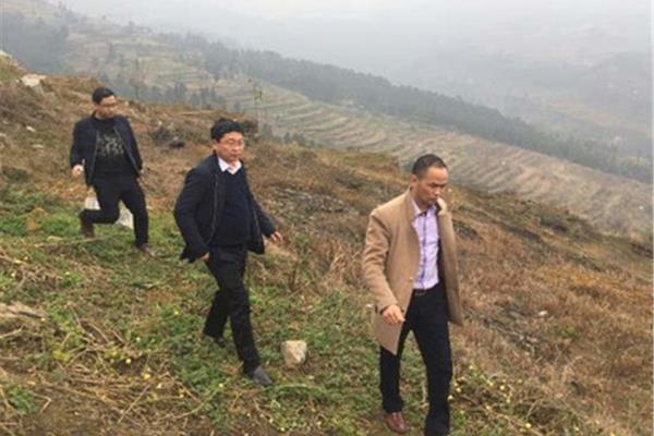 桐梓县人民政府网