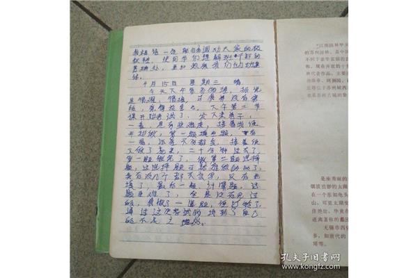 初中生日记