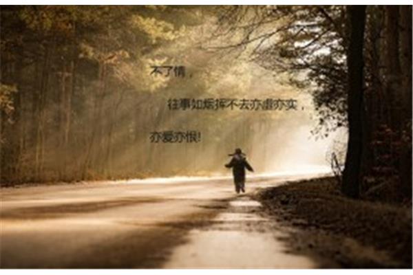 绝情的句子