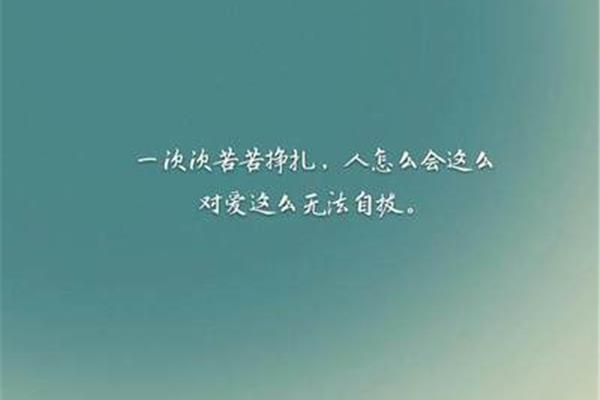 绝情的句子
