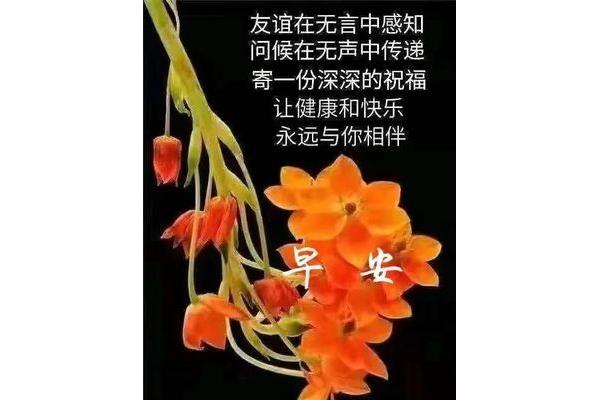 友谊祝福语
