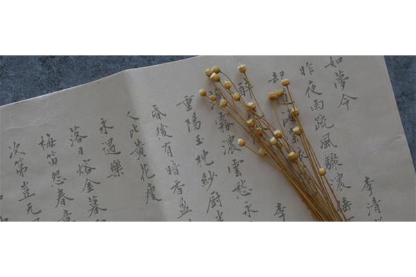 大雨如注的意思