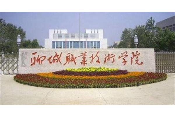 聊城技术学院