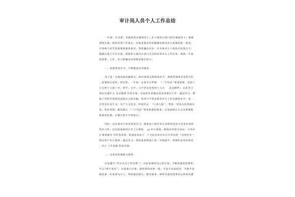 审计工作总结个人