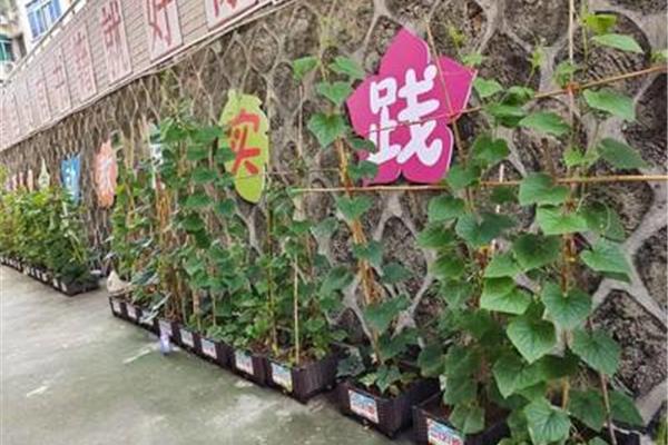 劳动实践基地