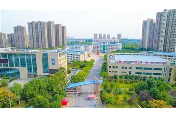 合肥高中排名