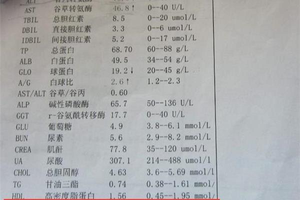 谷丙转氨酶偏低