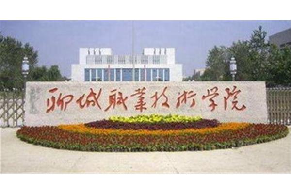 聊城技术学院