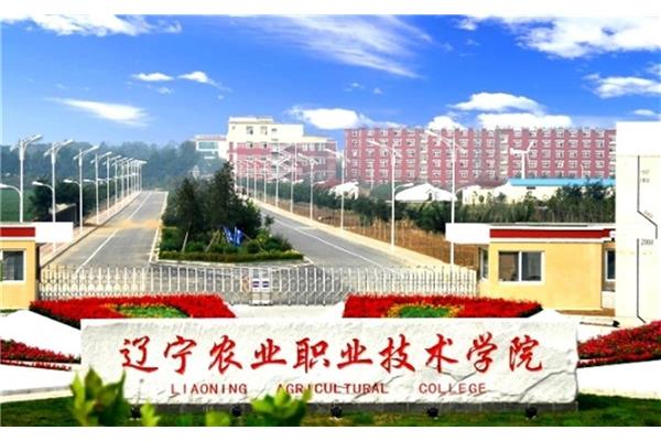 辽宁省大学