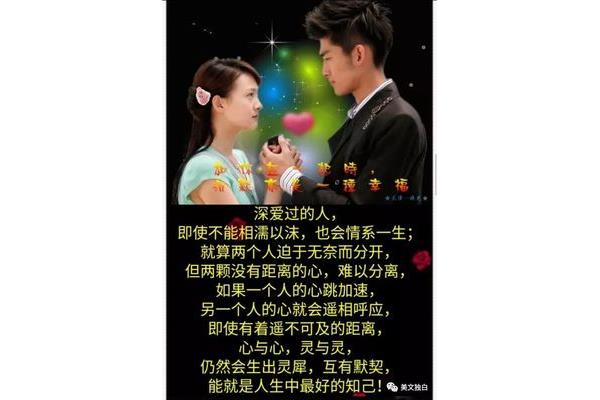 你中有我我中有你