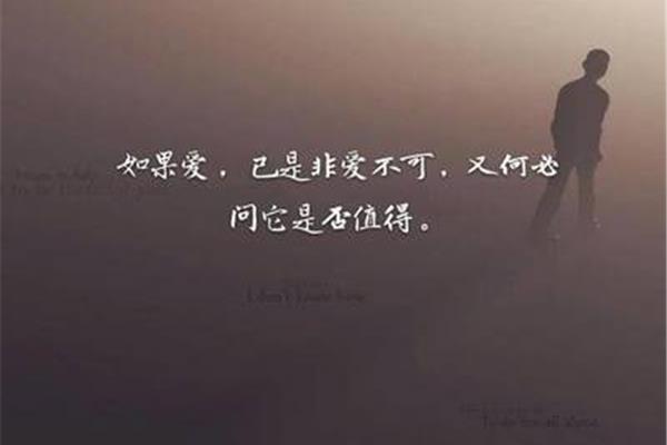 绝情的句子