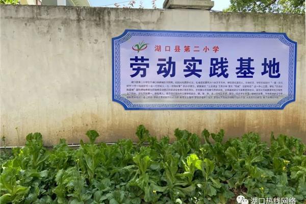 劳动实践基地